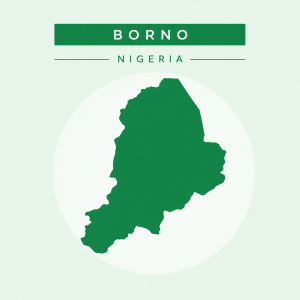NAF Airstrike Kills Nine ISWAP Fighters, Commander in Borno